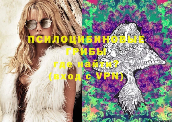 круглые Алексеевка