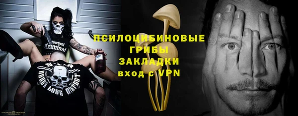 шишки Алзамай
