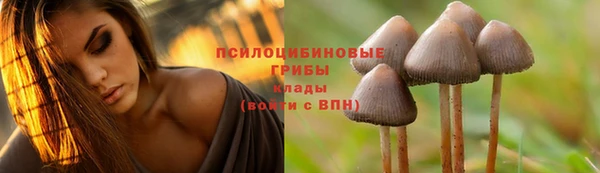 круглые Алексеевка