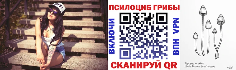 площадка наркотические препараты  блэк спрут маркетплейс  Константиновск  как найти закладки  Псилоцибиновые грибы ЛСД 
